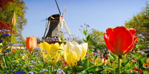 Titelbild für Holland – Das Land der Millionen Tulpen